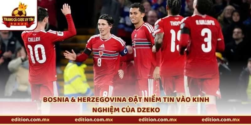 Bosnia & Herzegovina đặt niềm tin vào kinh nghiệm của Dzeko