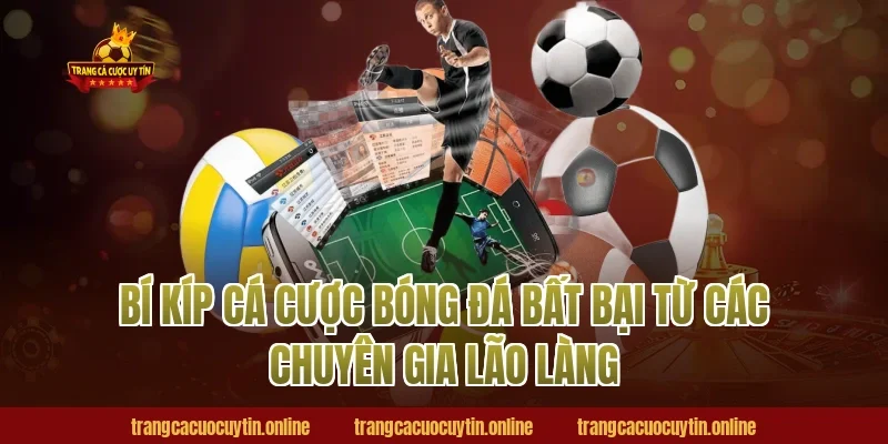 Bí kíp cá cược bóng đá bất bại từ các chuyên gia lão làng