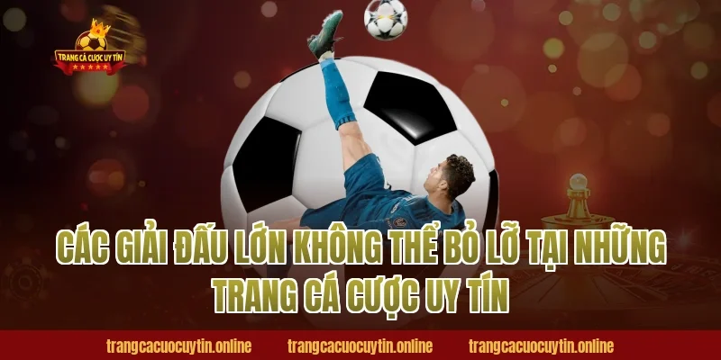 Các giải đấu lớn không thể bỏ lỡ tại những trang cá cược uy tín