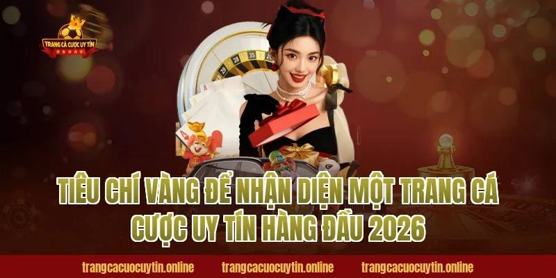 Tiêu chí vàng để nhận diện một trang cá cược uy tín hàng đầu 2026