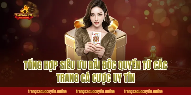 Tổng hợp siêu ưu đãi độc quyền từ các trang cá cược uy tín