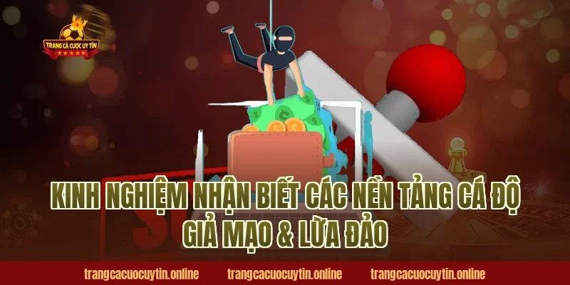 Kinh nghiệm nhận biết các nền tảng cá độ giả mạo & lừa đảo